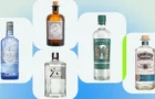 best gins to drink