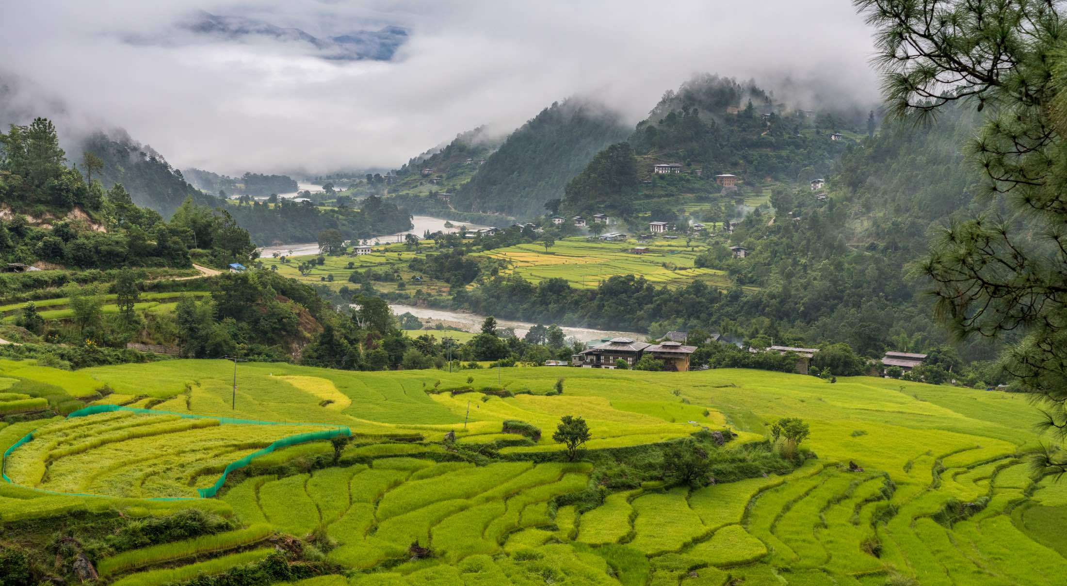 a valley in Punakha