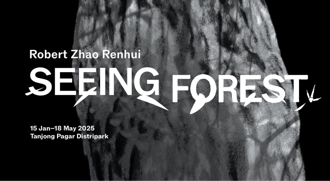 seeing forest robert zhao